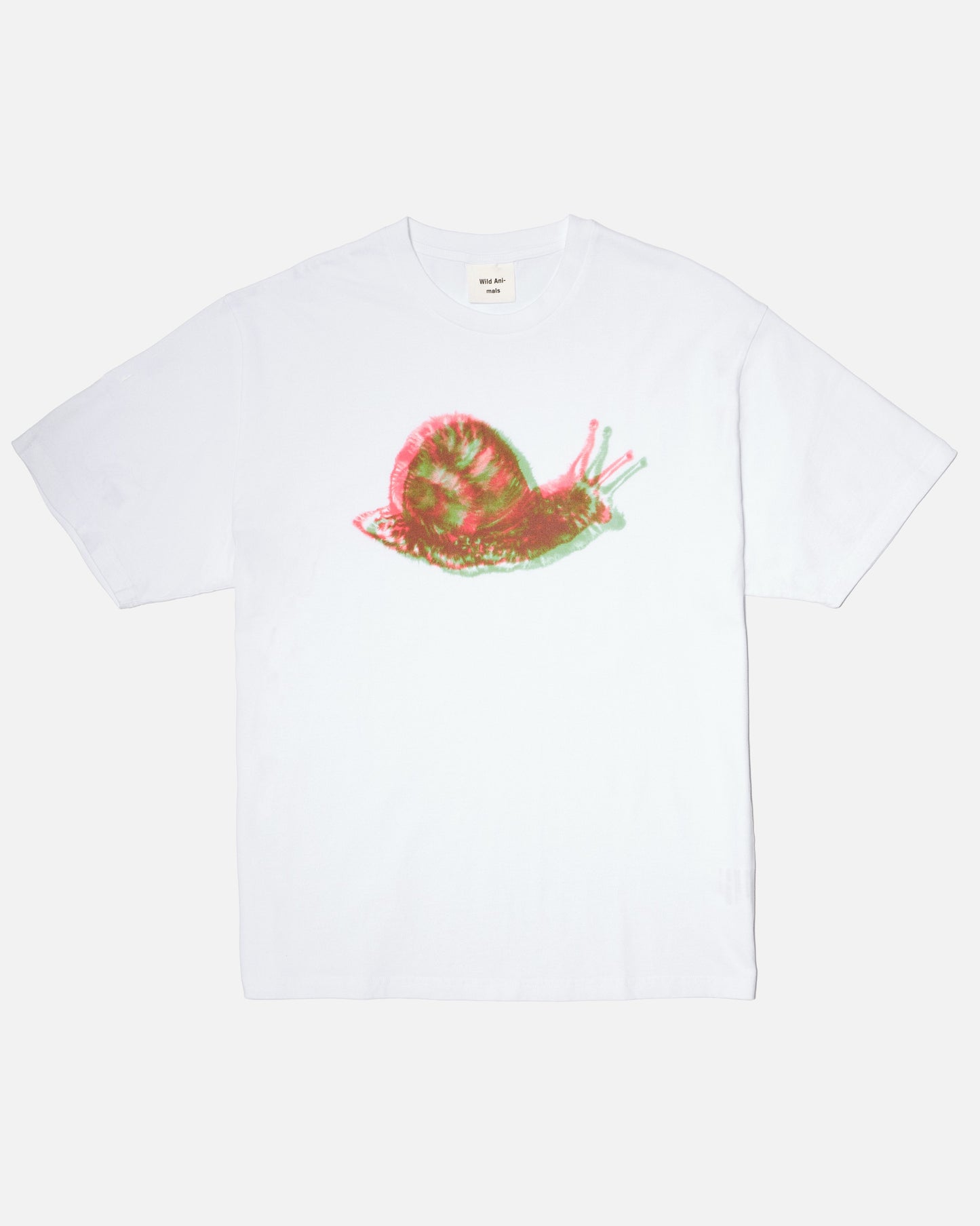 Snail