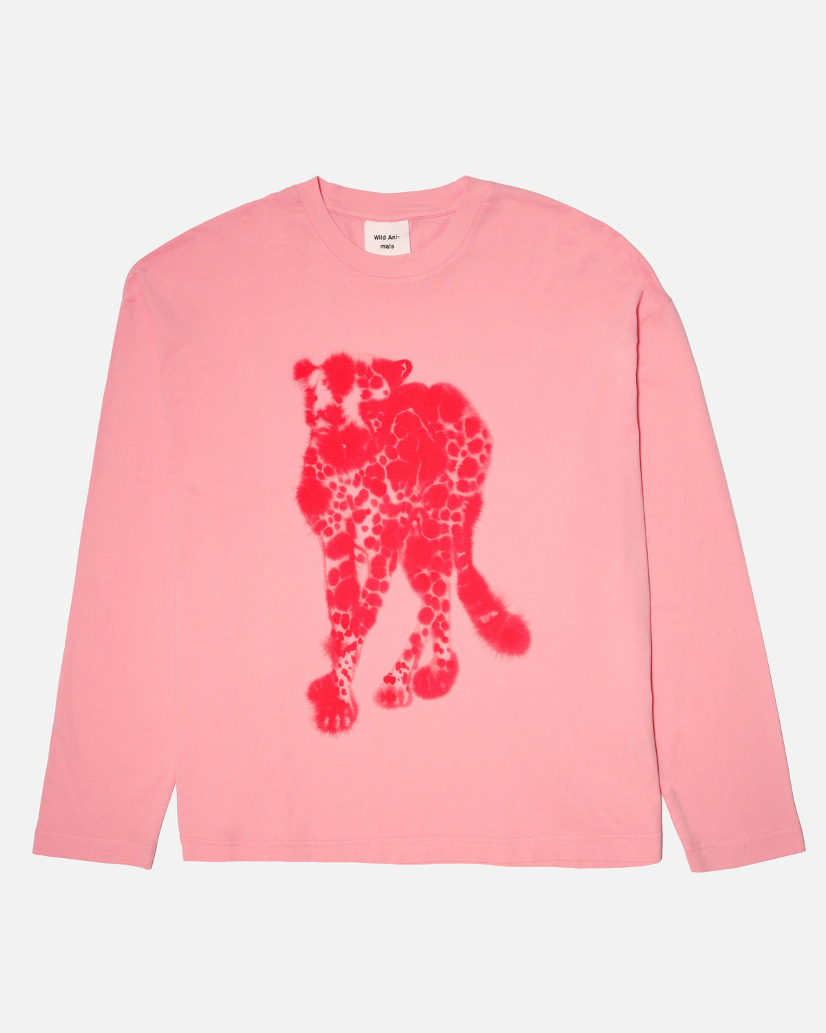 Cheetah