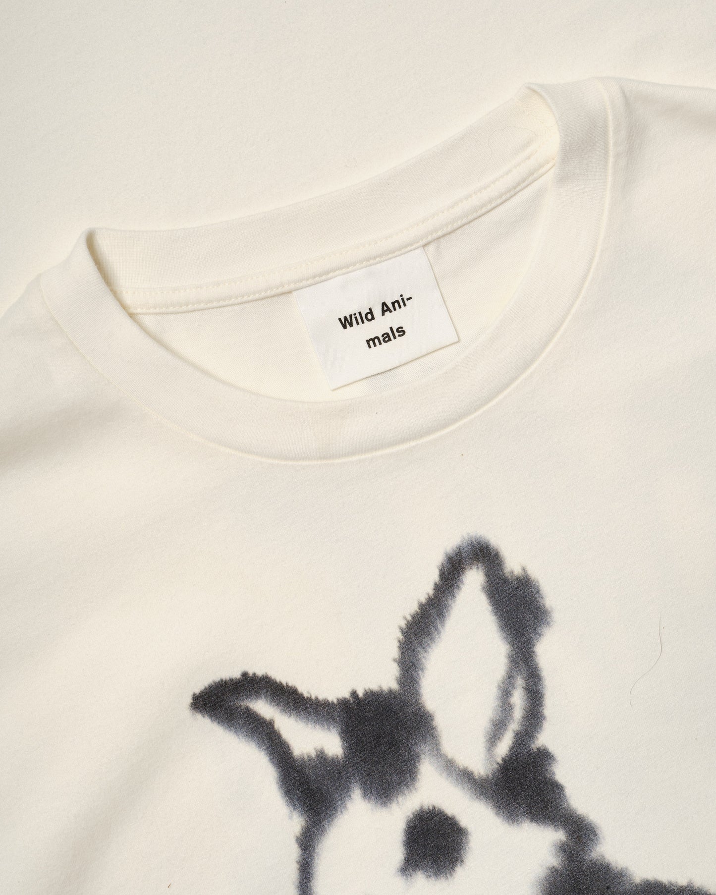 Rabbit, Wolf