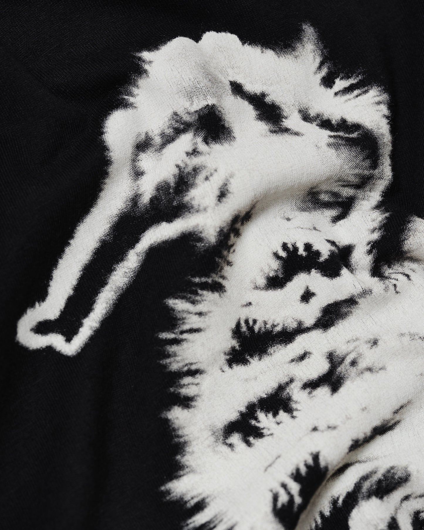 Seahorse