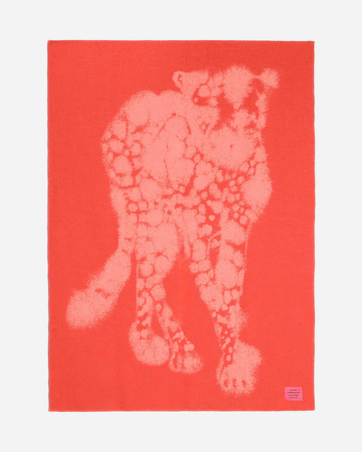 Cheetah