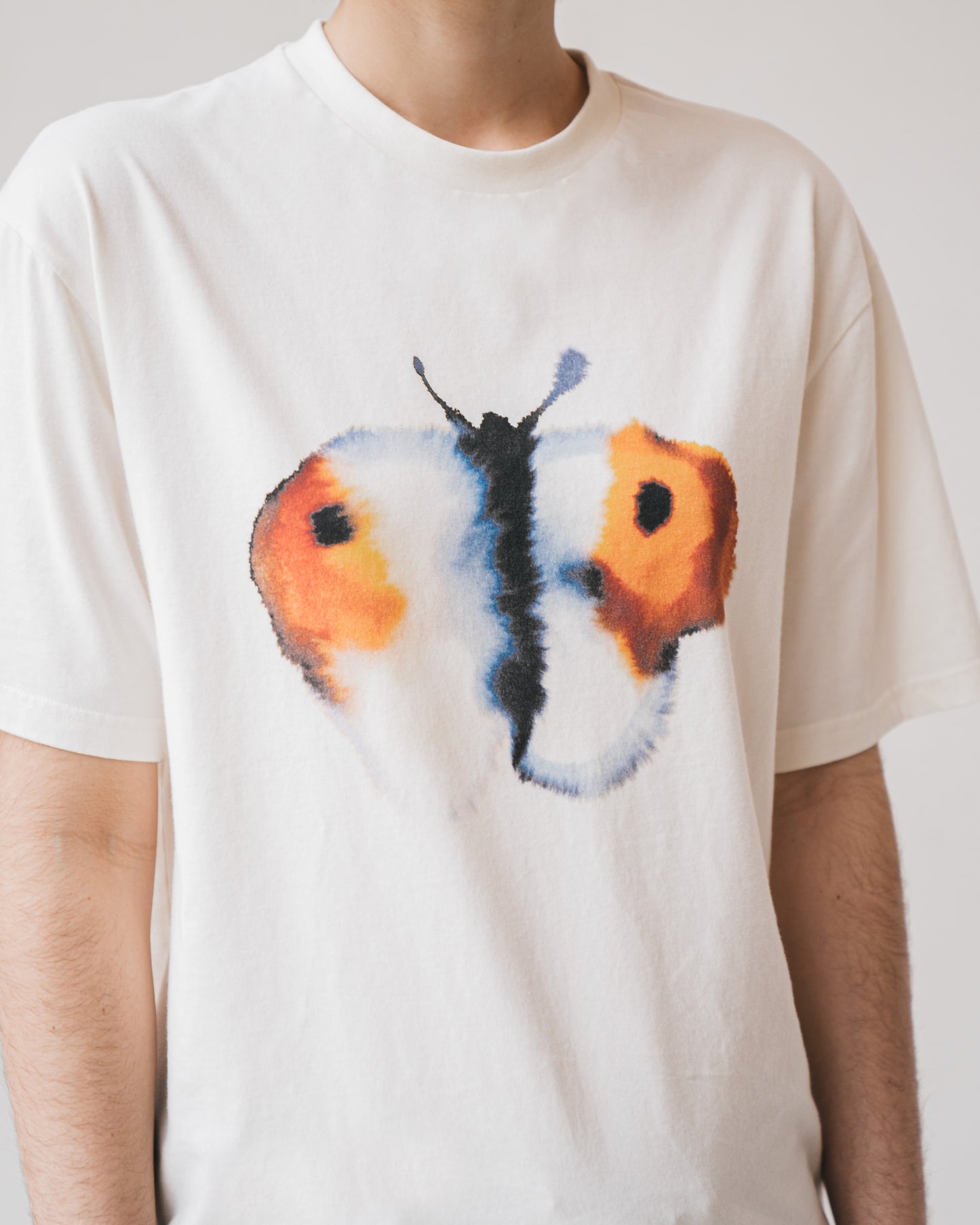 Butterfly, butterfly