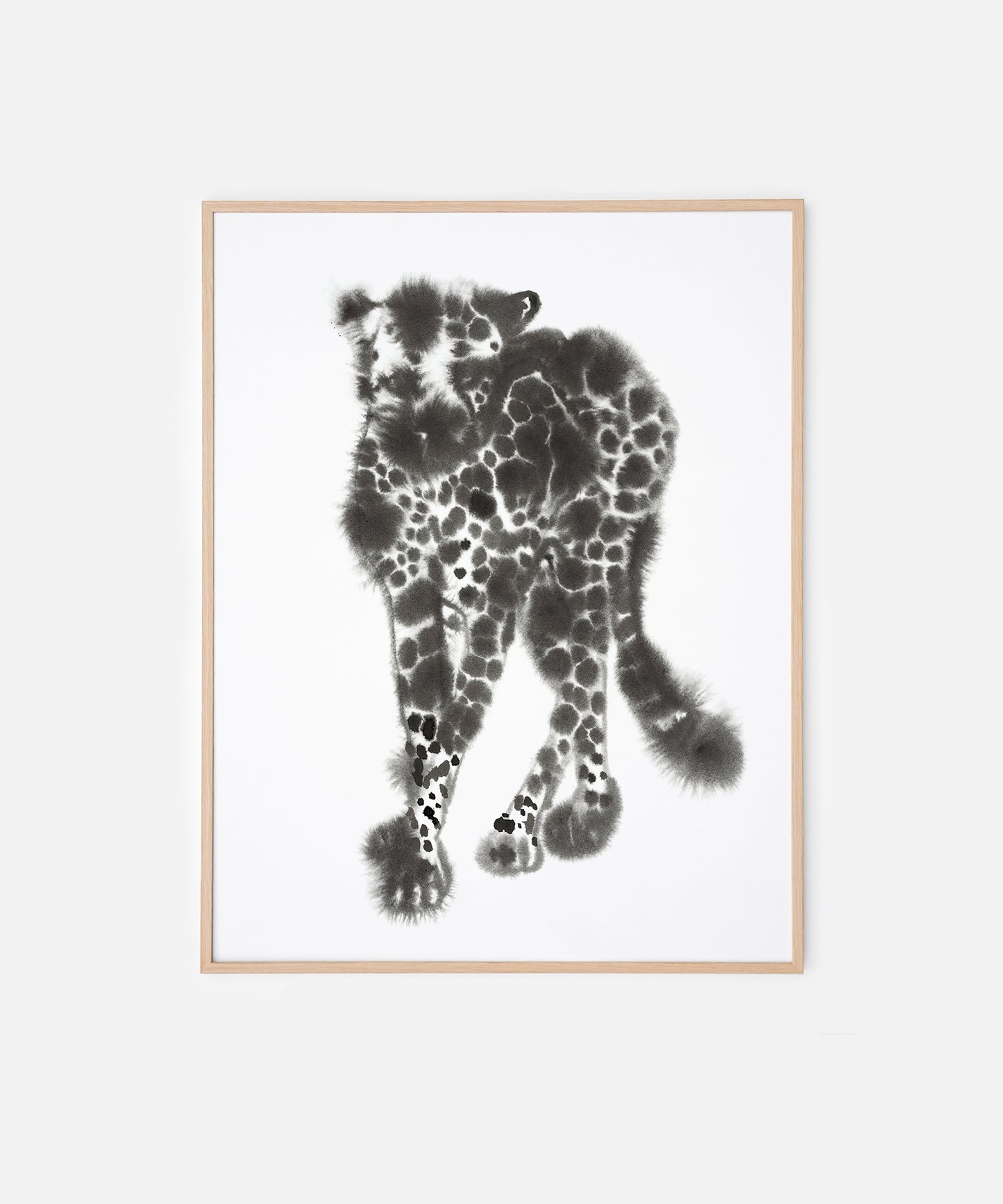 Cheetah