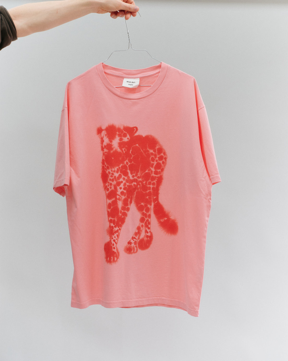 Cheetah