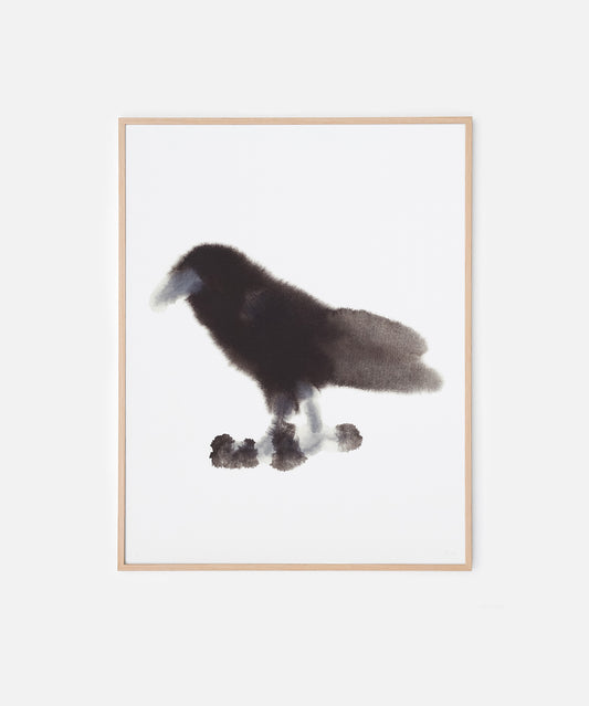 Crow 2