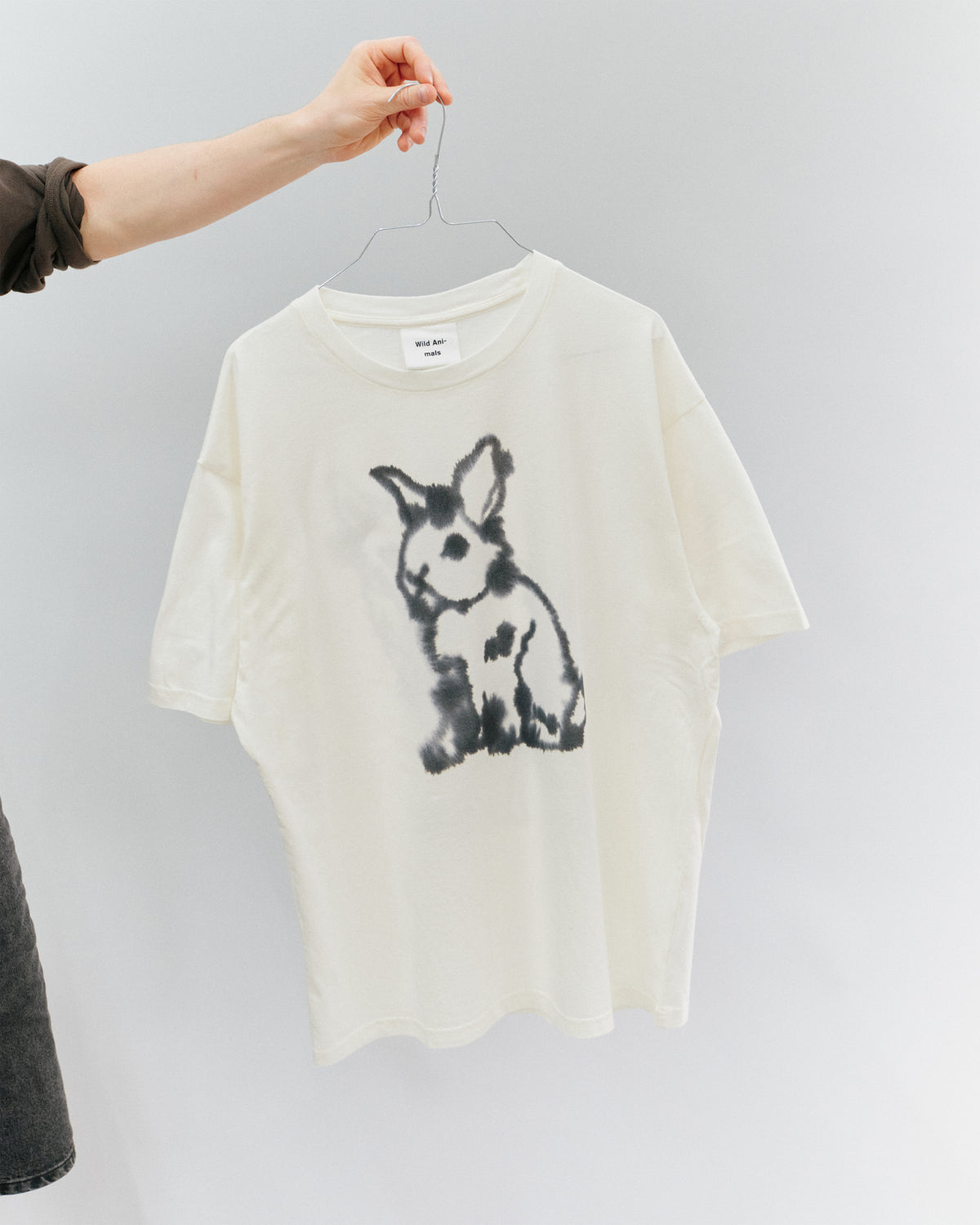 Rabbit, Wolf