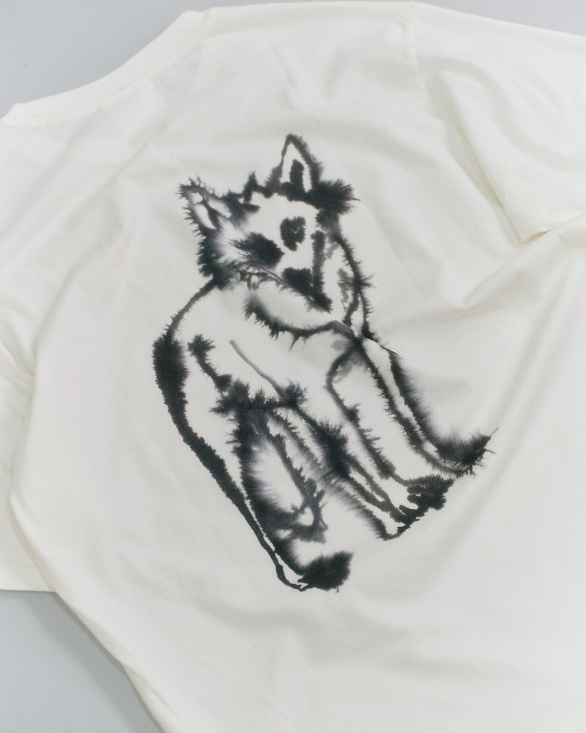 Rabbit, Wolf