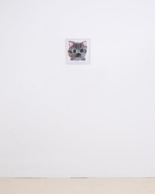 Cat 11