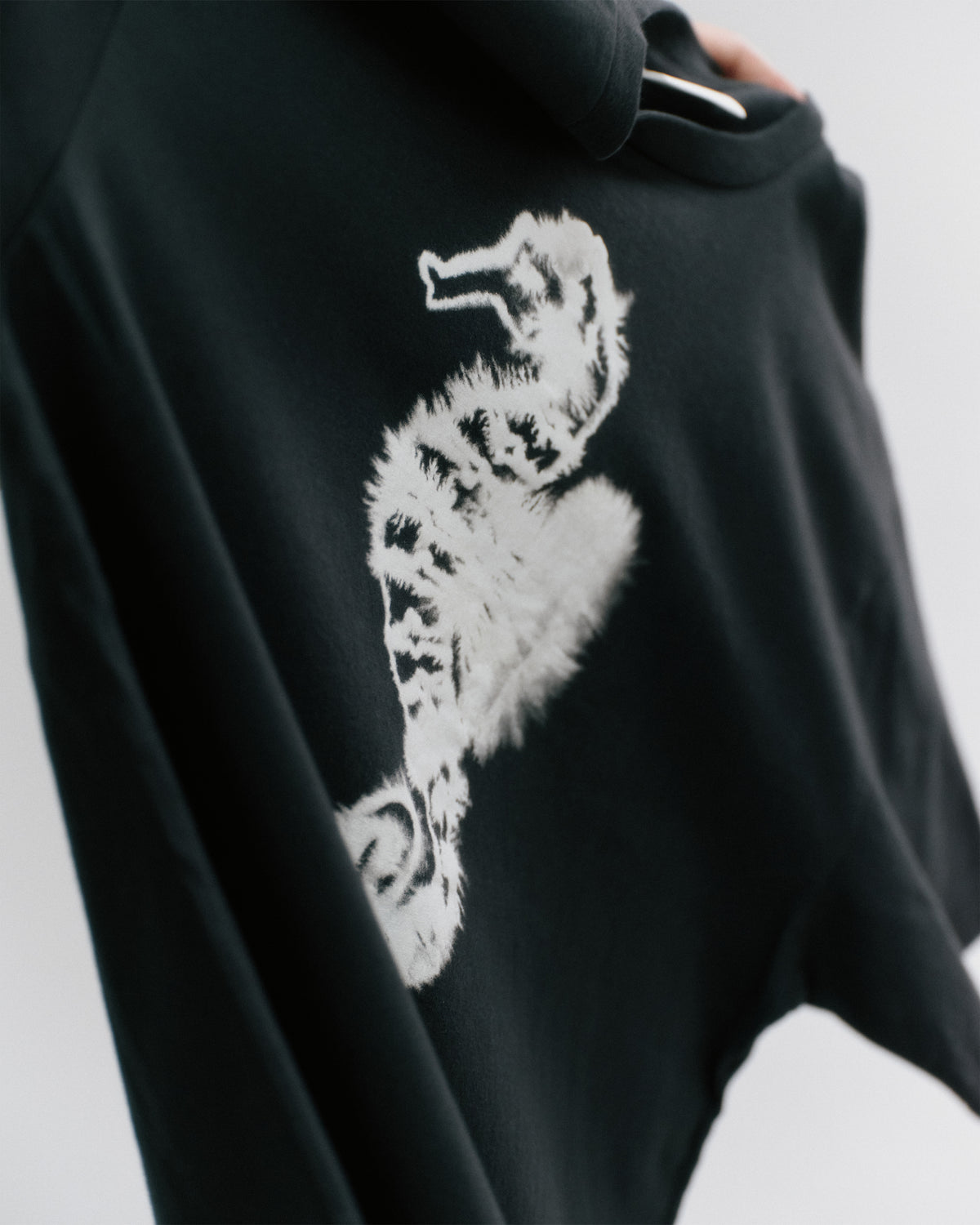 Seahorse