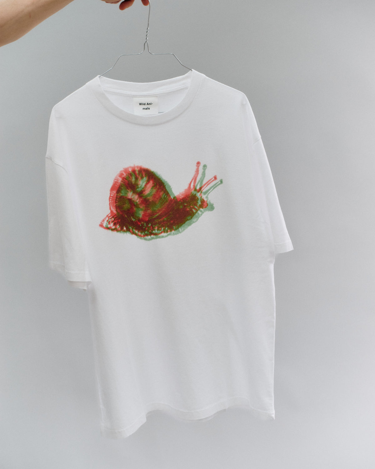 Snail