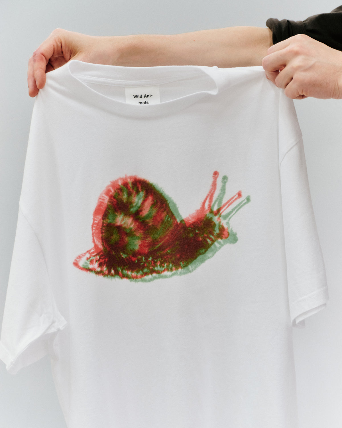 Snail