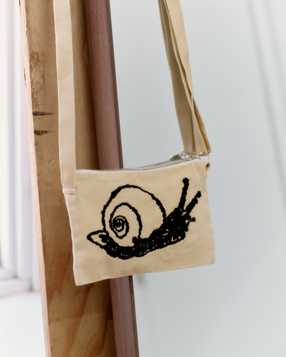 Turtle, Snail