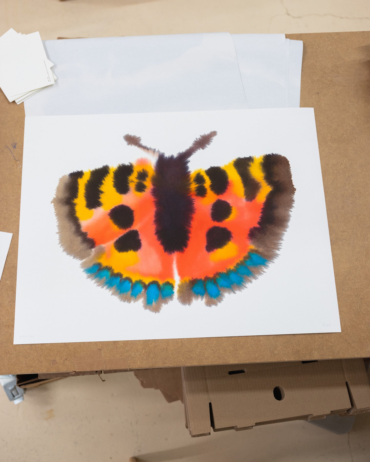 Small Tortoiseshell II