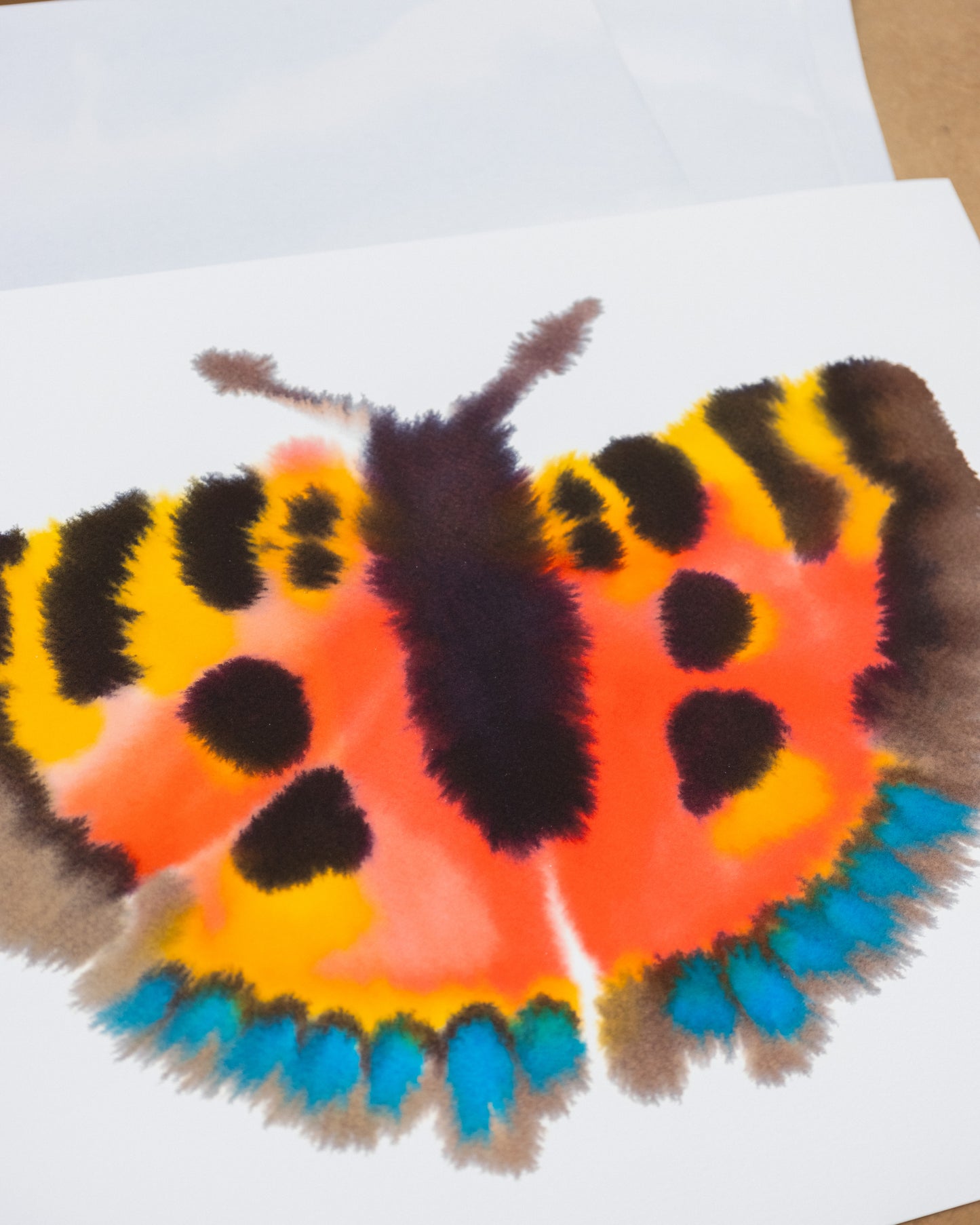 Small Tortoiseshell II