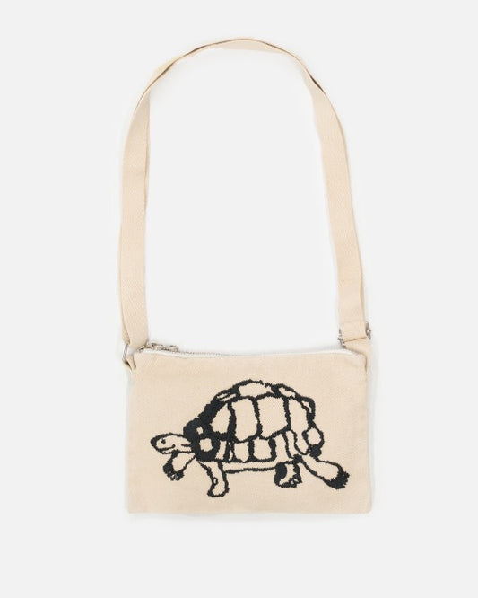 Turtle, Snail