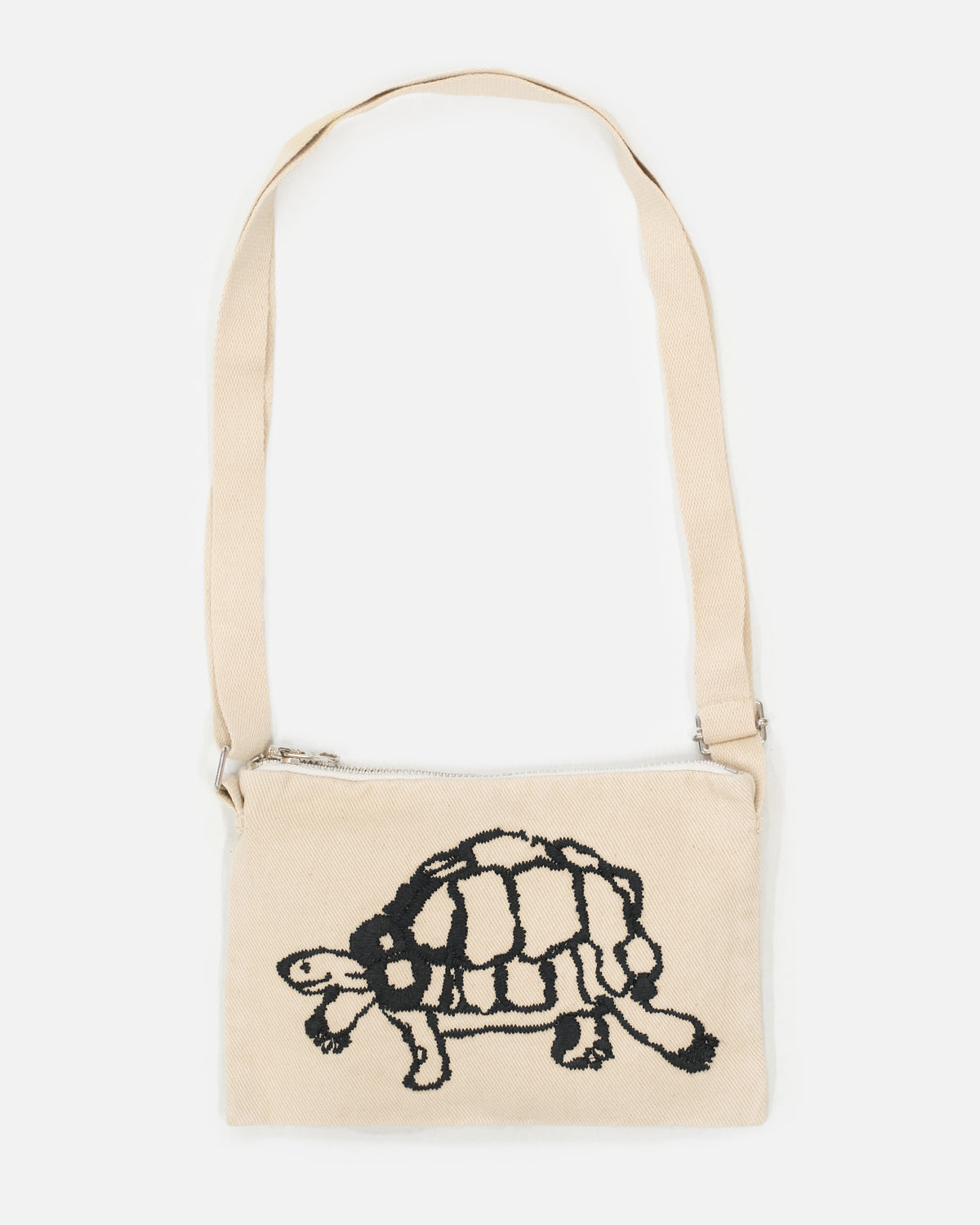 Turtle, Snail
