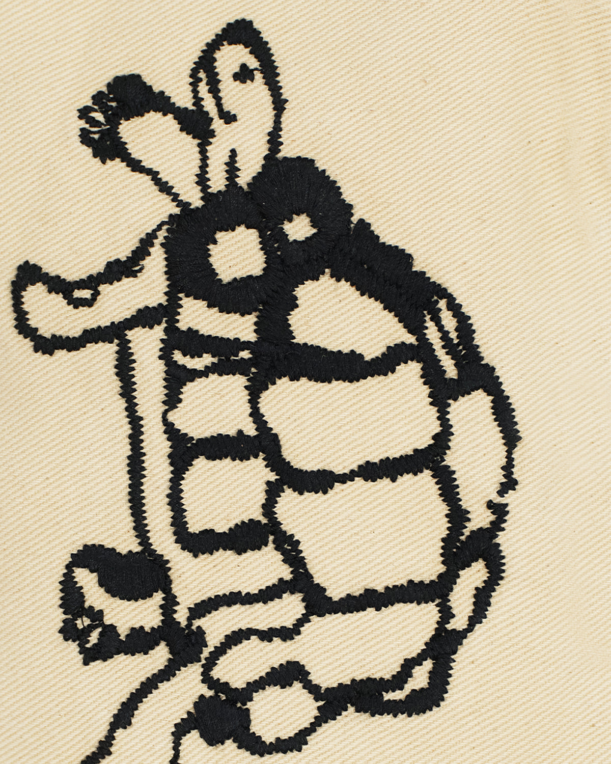 Turtle, Snail