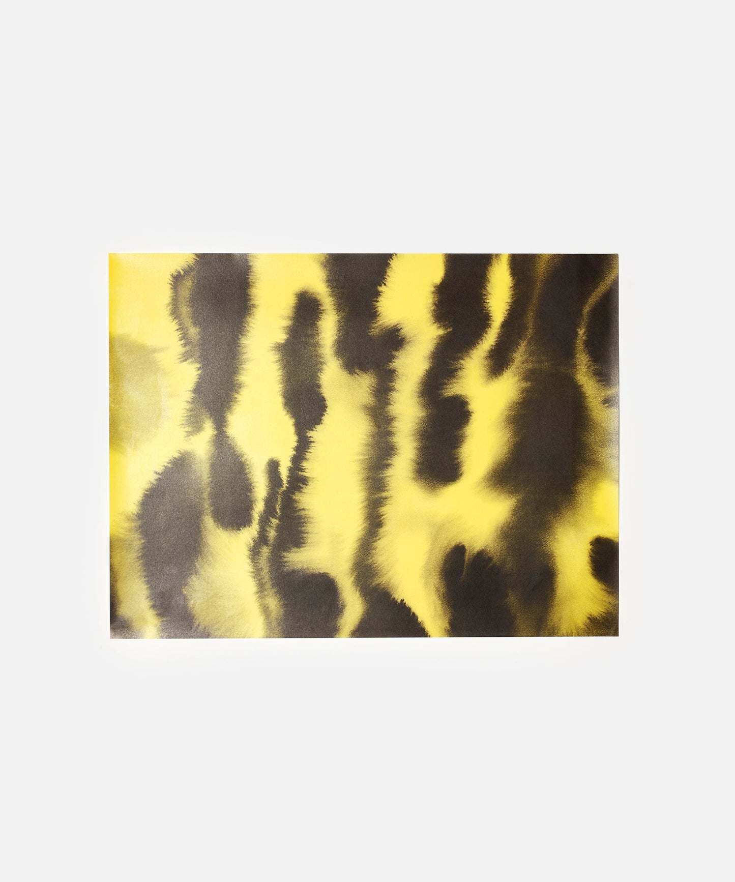 Tiger Wrapping Paper