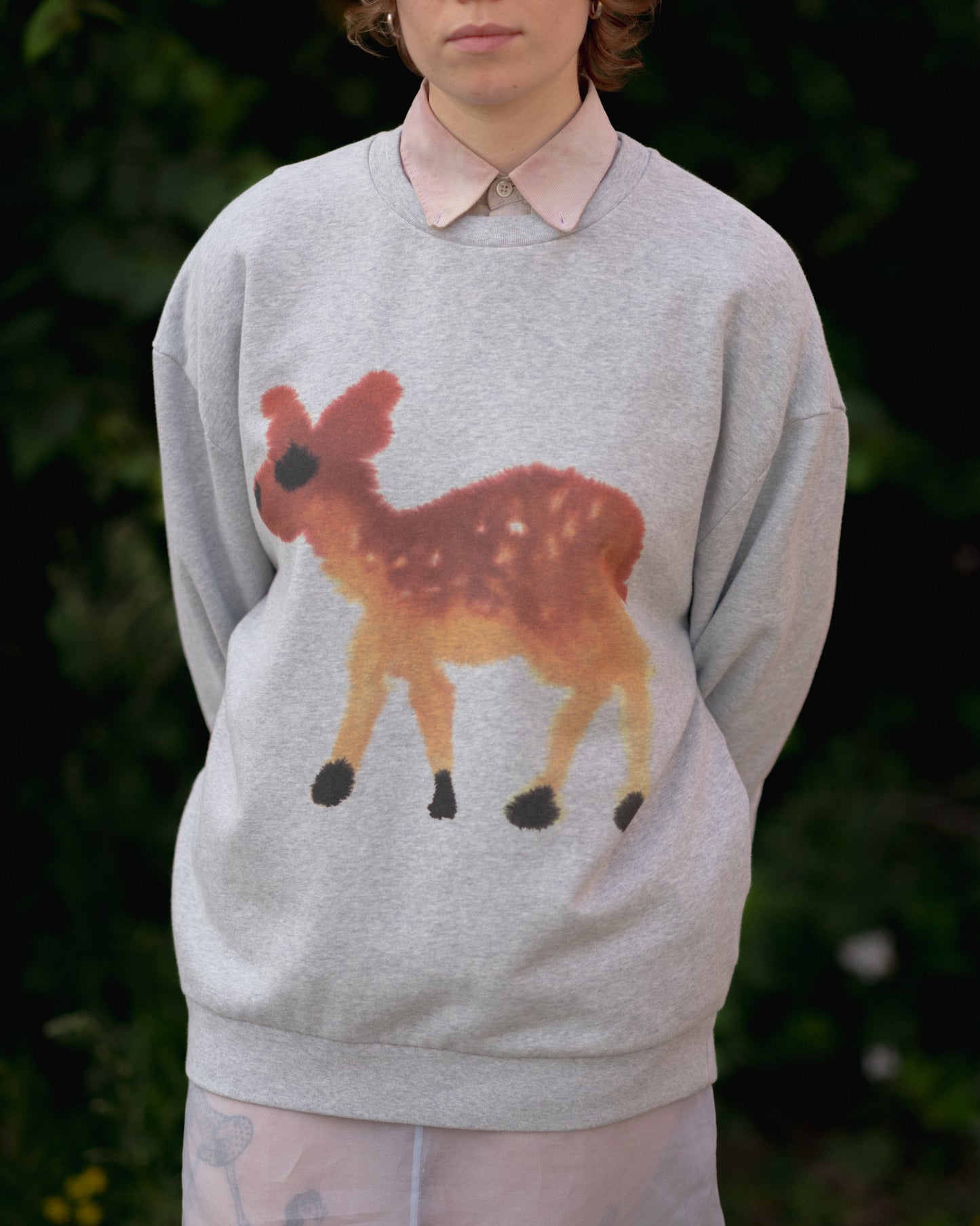 Deer