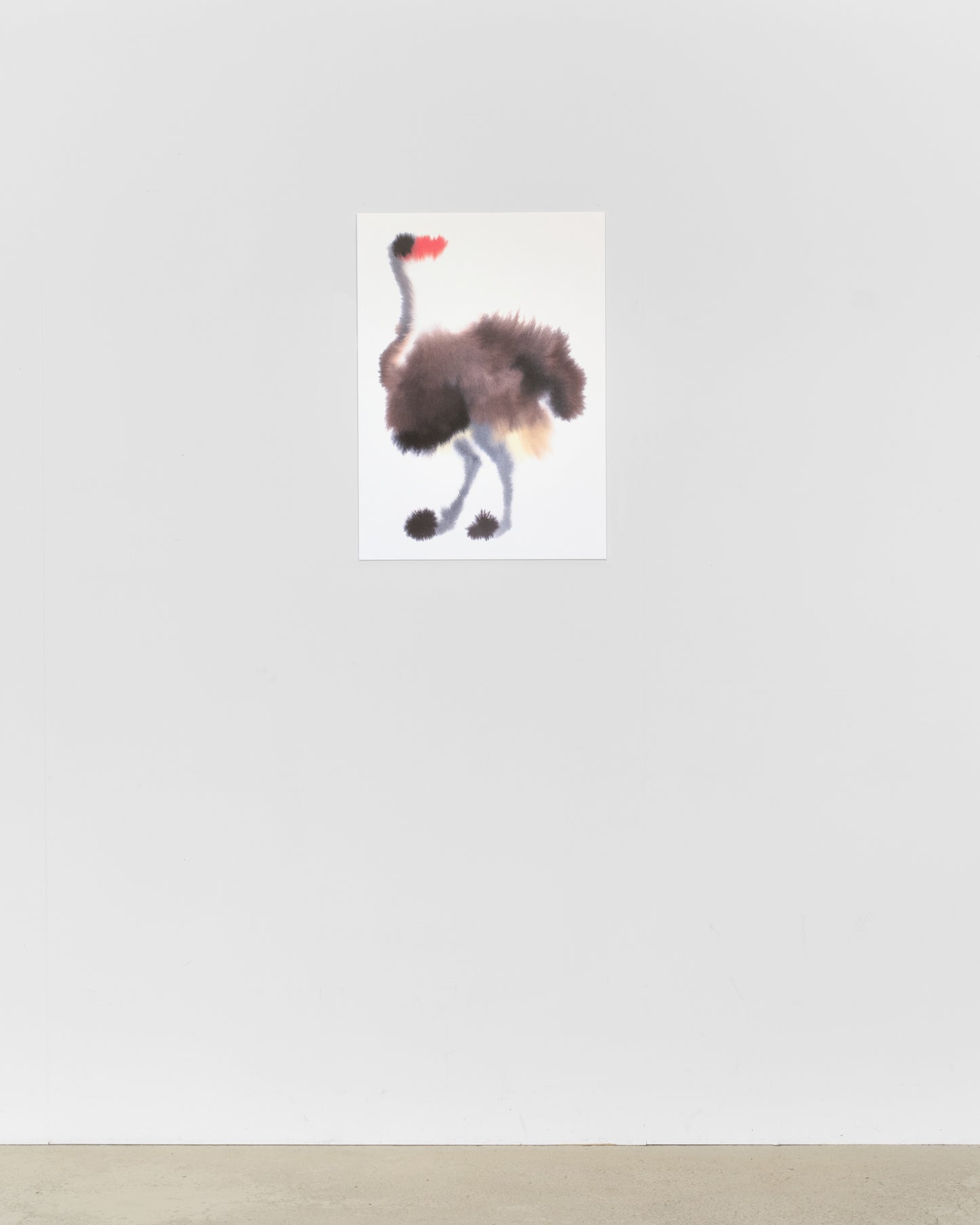 Ostrich
