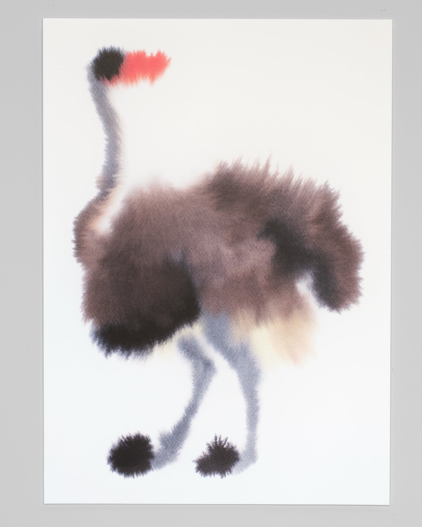 Ostrich