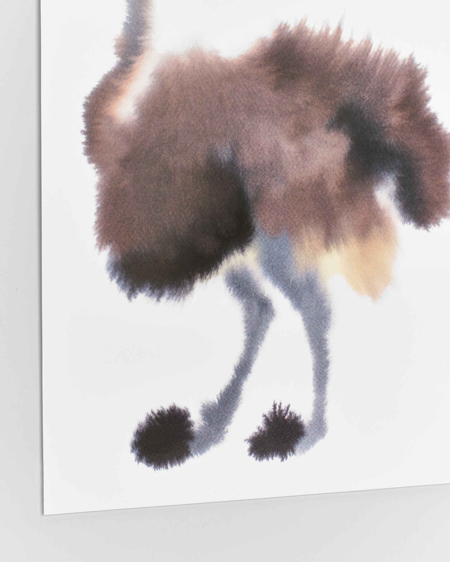 Ostrich