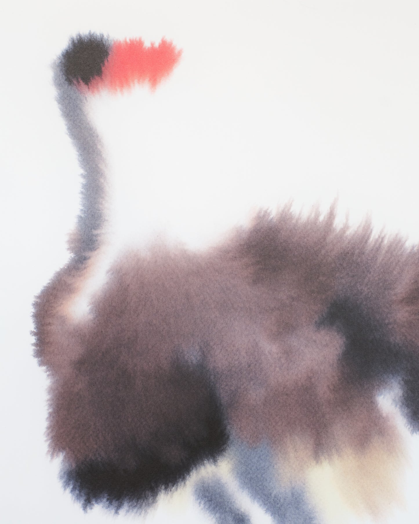 Ostrich