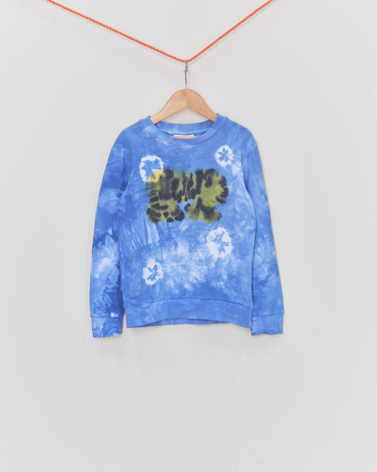Tiger Front & Back Blue