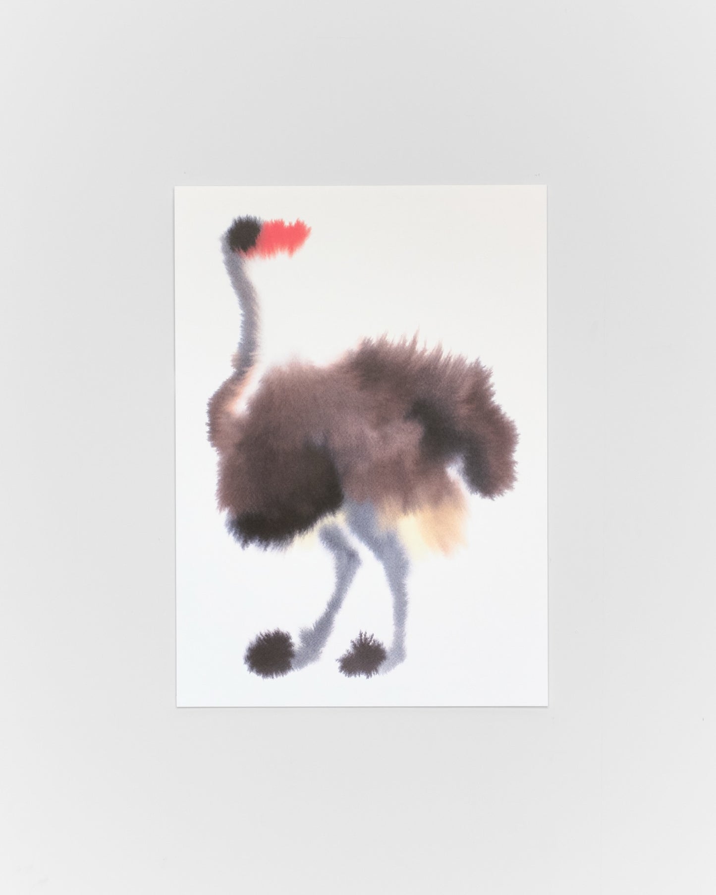 Ostrich