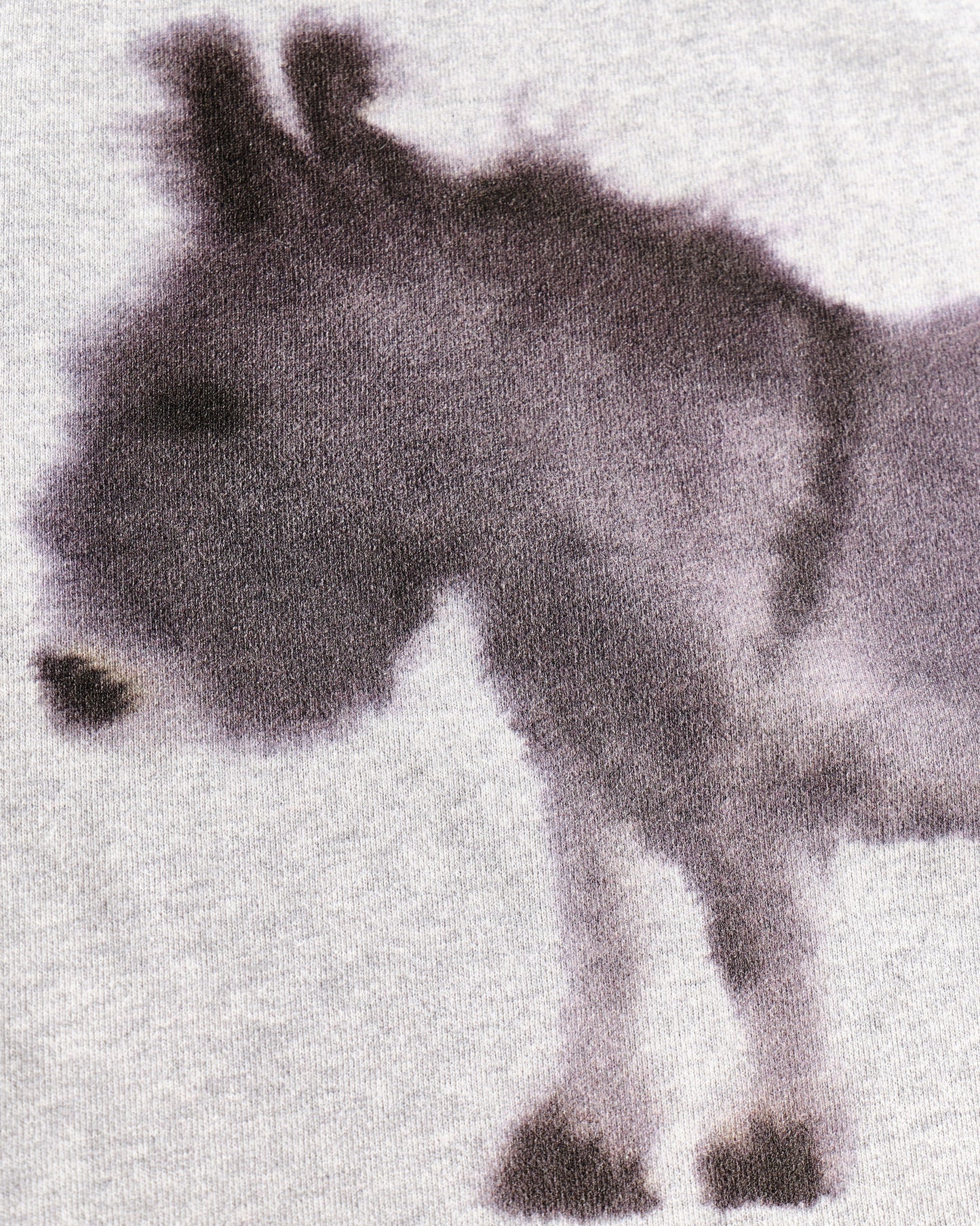 Donkey