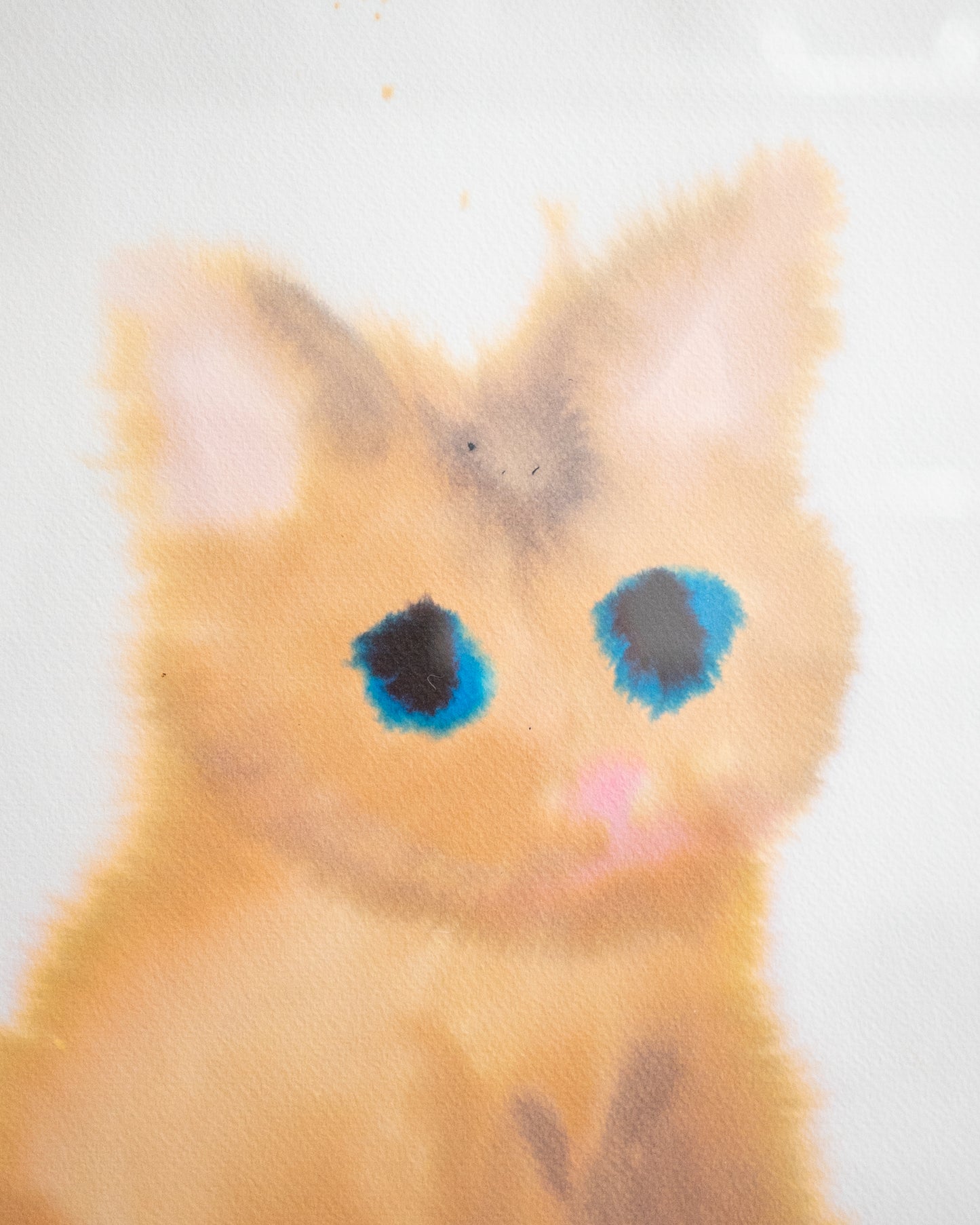 Cat 1 (framed)