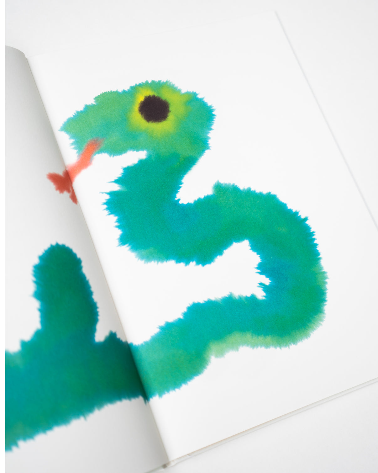 Wild Animals Book By Rop Van Mierlo wild-animals-book-by-rop-van-mierlo